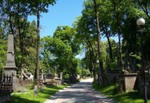 Алеями та стежками Личаківського кладовища Личаківський цвинтар