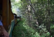 На 3 дні туди, де курсує Карпатський трамвай!