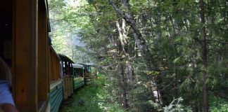 На 3 дні туди, де курсує Карпатський трамвай!