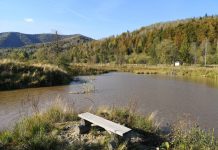 У Вигоду, до бойків на один день!