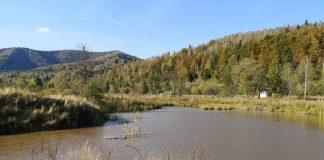 У Вигоду, до бойків на один день!