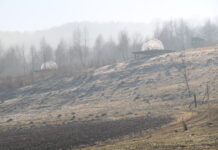 Мандри Роздільські